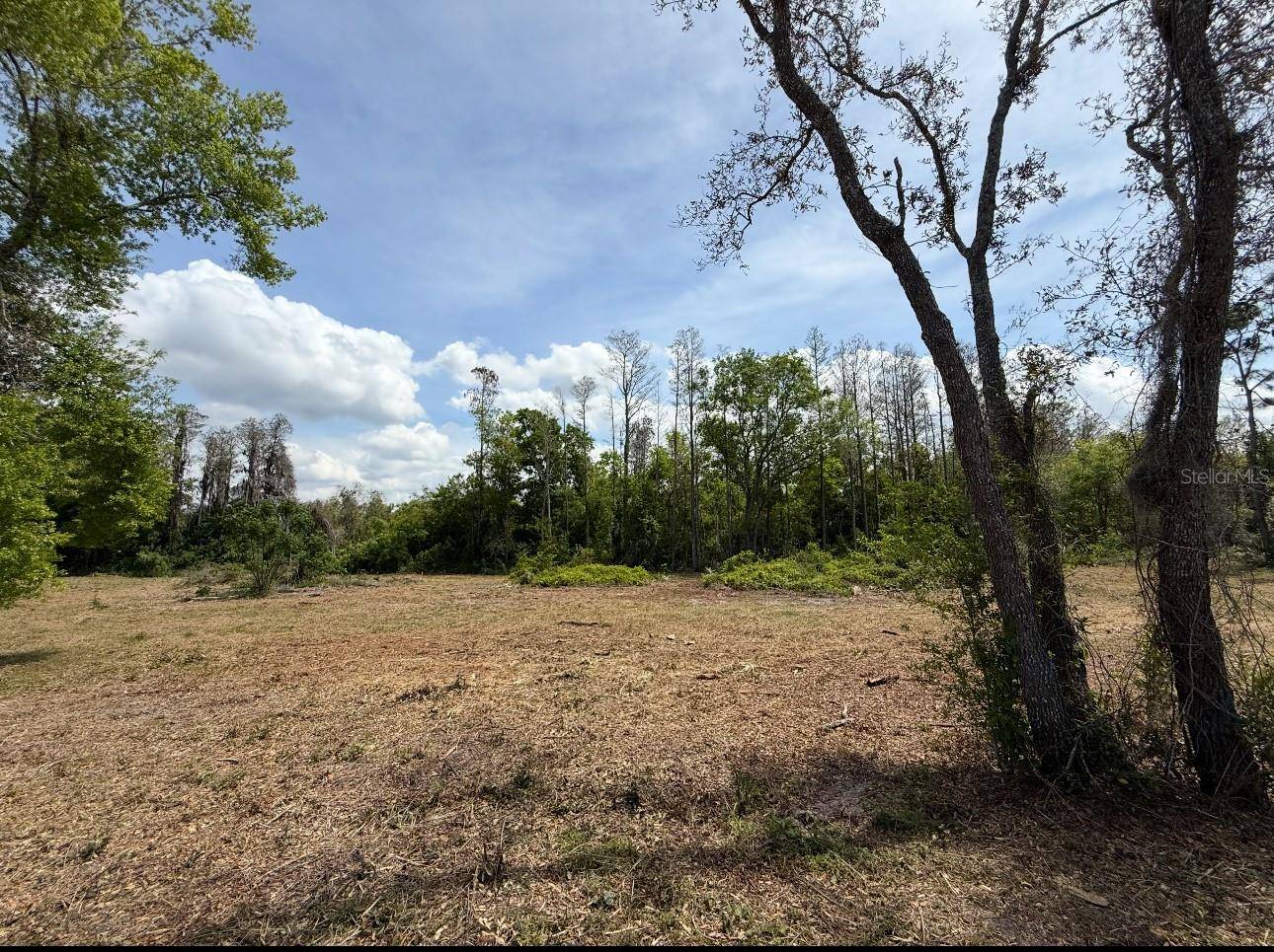 New Port Richey, FL 34654,9906 HILLTOP DR
