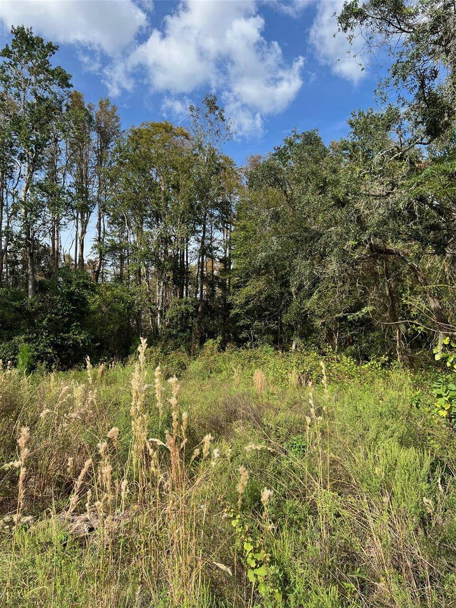 New Port Richey, FL 34654,12707 OCONEE BLVD