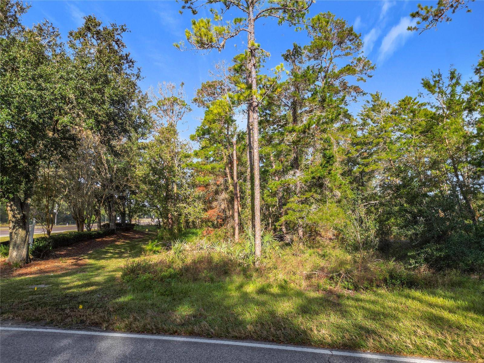 Homosassa, FL 34446,1 OAK VILLAGE BLVD