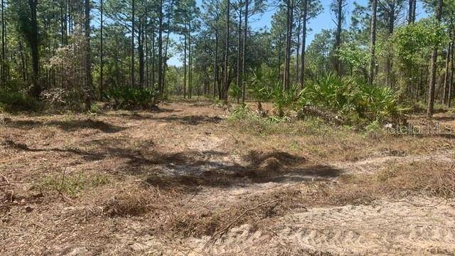 Brooksville, FL 34614,16417 CURLEW RD