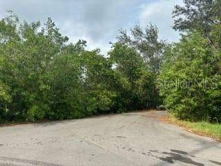 Gibsonton, FL 33534,0 MABREY AVE