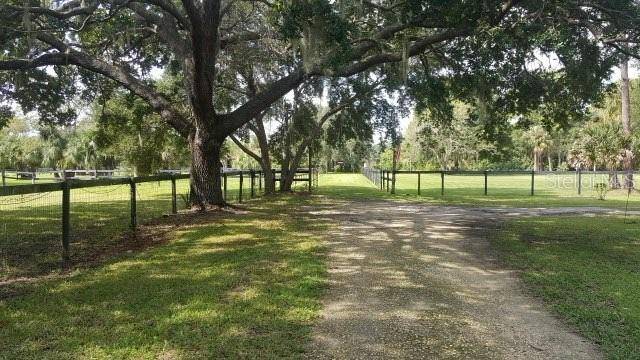 Tampa, FL 33635,8132 HONEYBEE LN