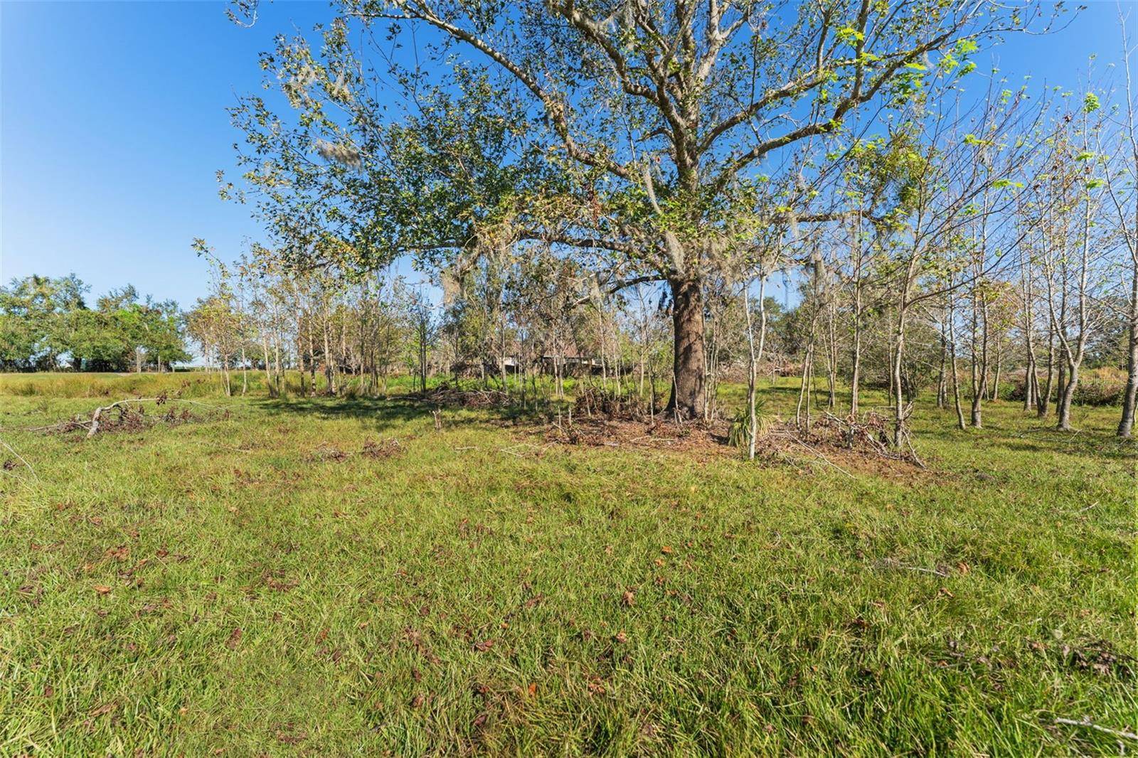 Wimauma, FL 33598,0 STATE ROAD 674