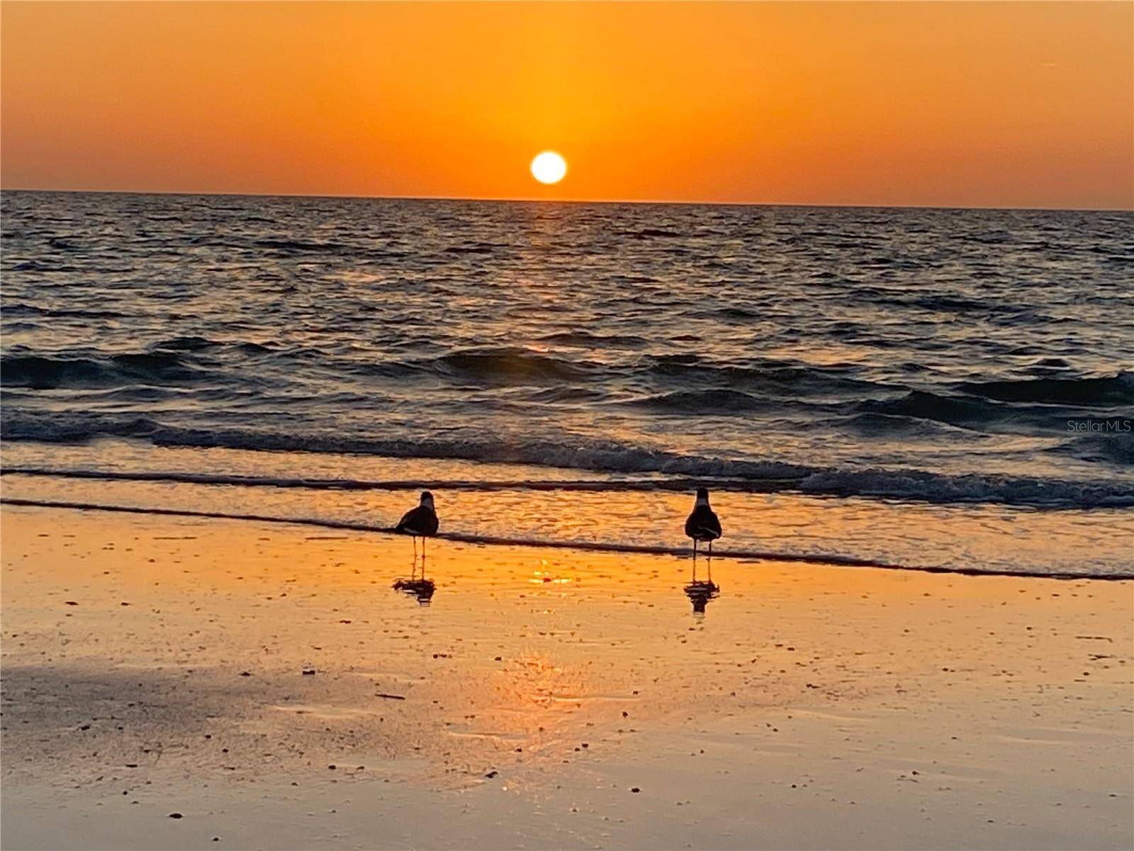 Clearwater Beach, FL 33767,1540 GULF BLVD #2107