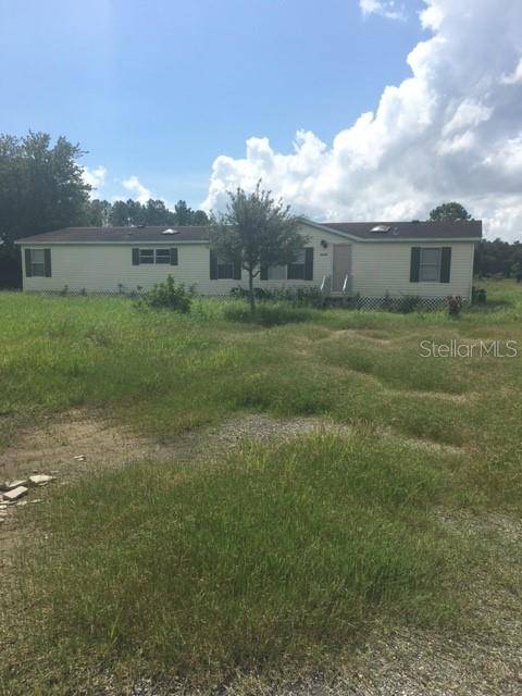 Zephyrhills, FL 33543,33036 CHANCEY RD