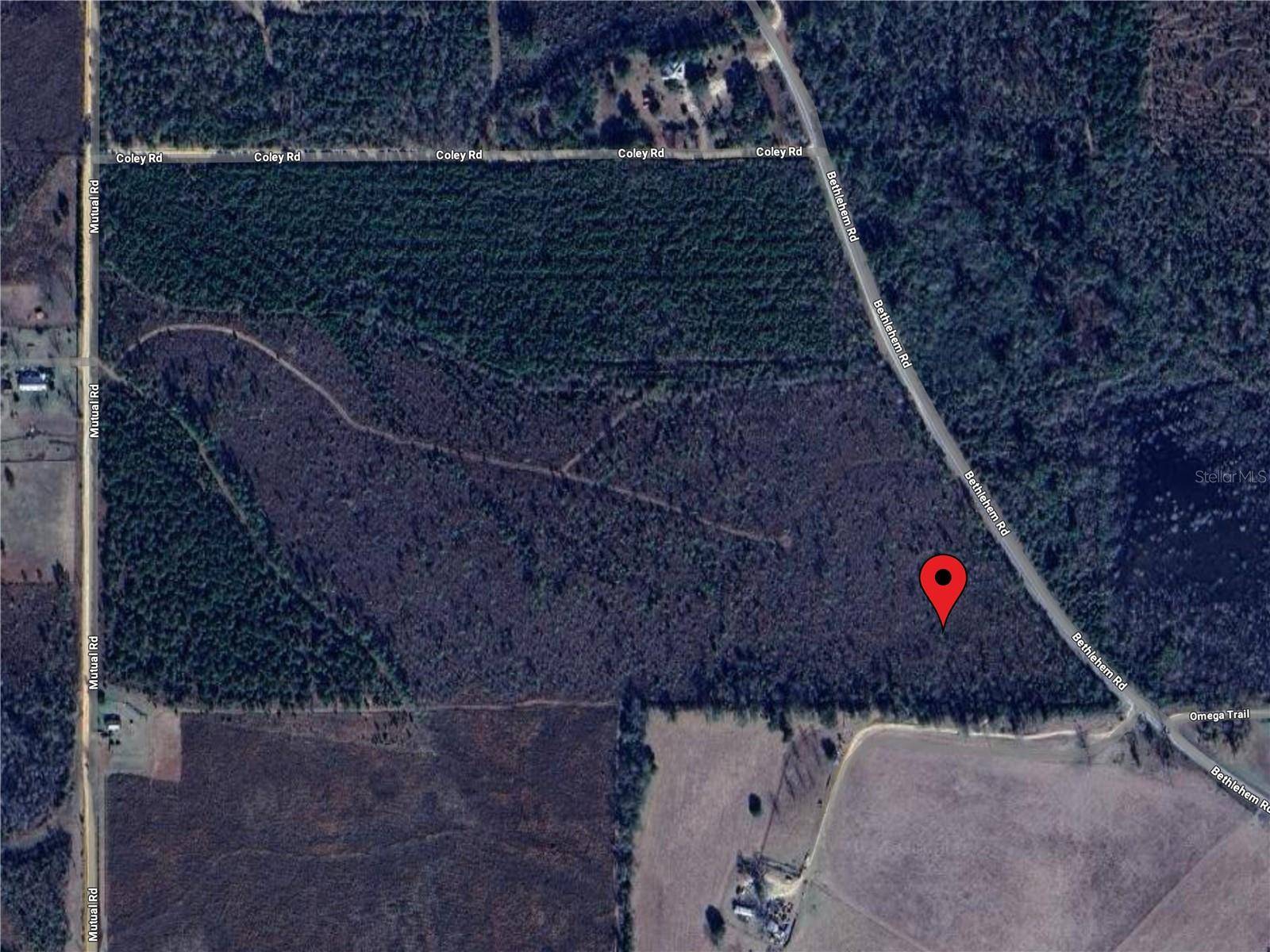 Cottondale, FL 32431,BETHLEHEM RD