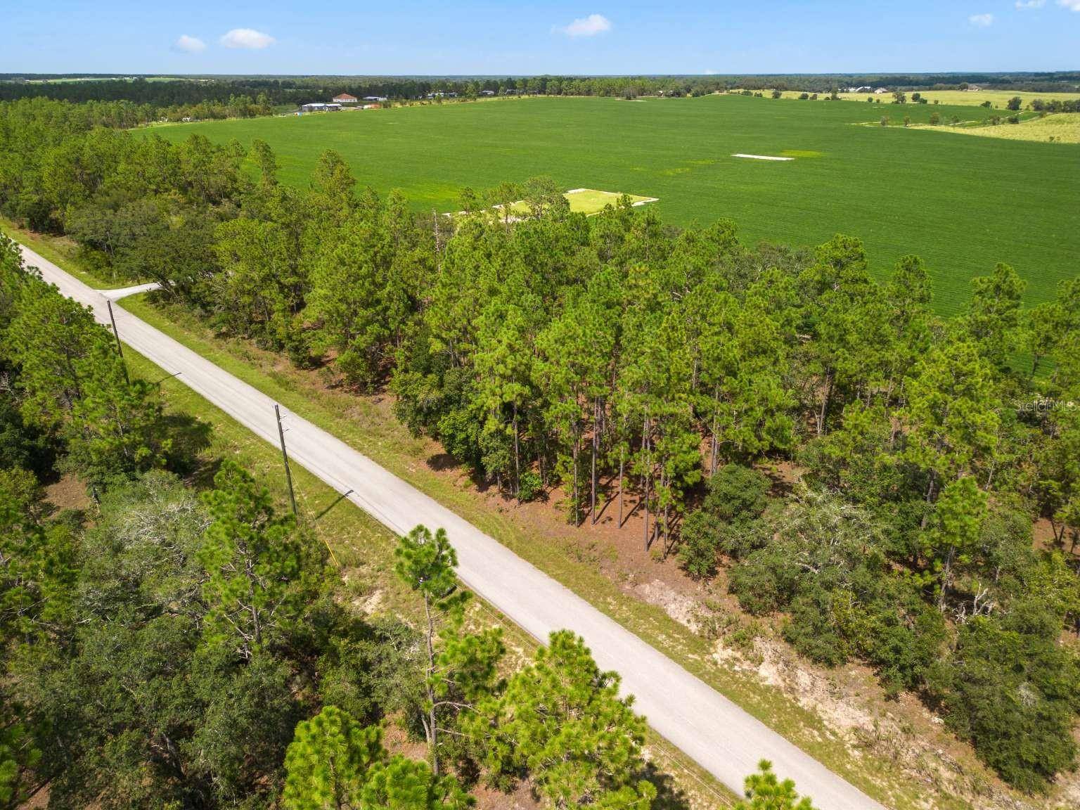 Dunnellon, FL 34431,Lot #19 NW HILLSDALE AVE