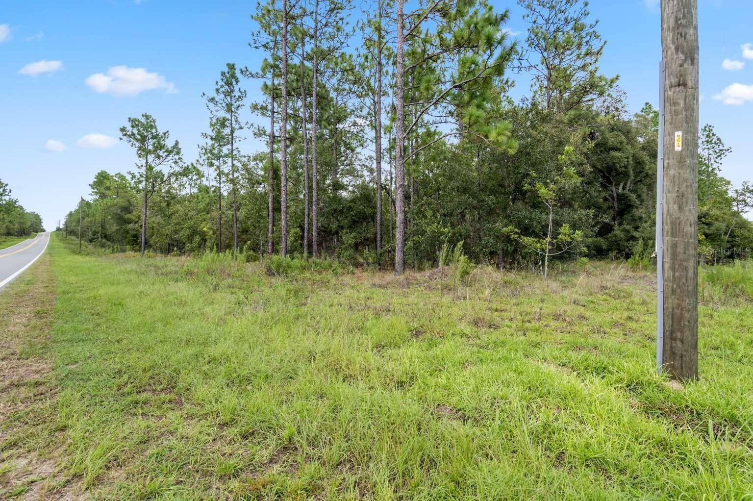 Dunnellon, FL 34431,Lot #19 NW HILLSDALE AVE