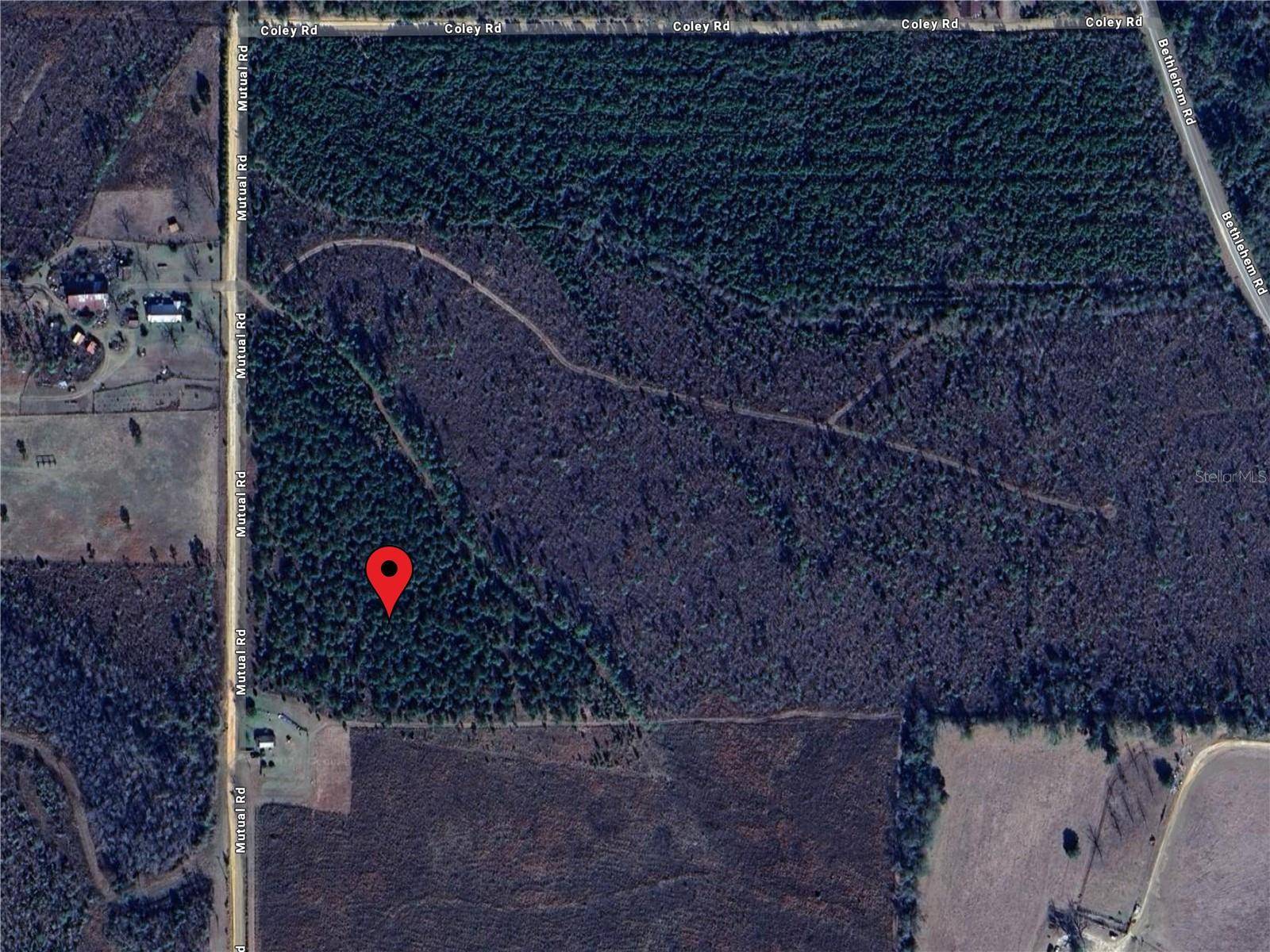 Cottondale, FL 32431,MUTUAL RD