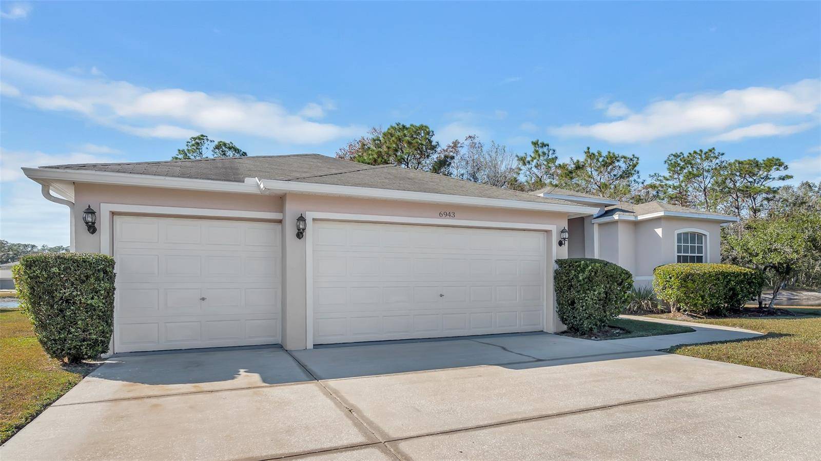 Wesley Chapel, FL 33544,6943 ORVICTI CT