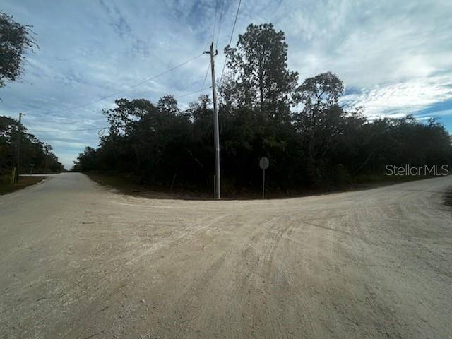 Webster, FL 33597,6330 MIKE LN