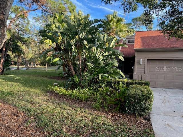 Oldsmar, FL 34677,10 WOODRIDGE CIR