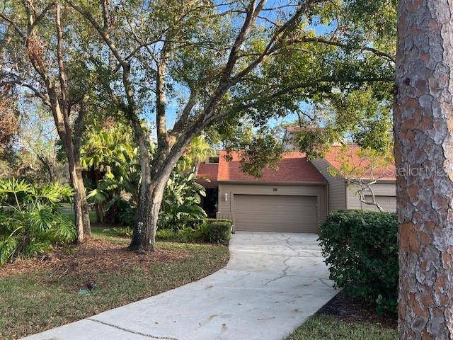 Oldsmar, FL 34677,10 WOODRIDGE CIR