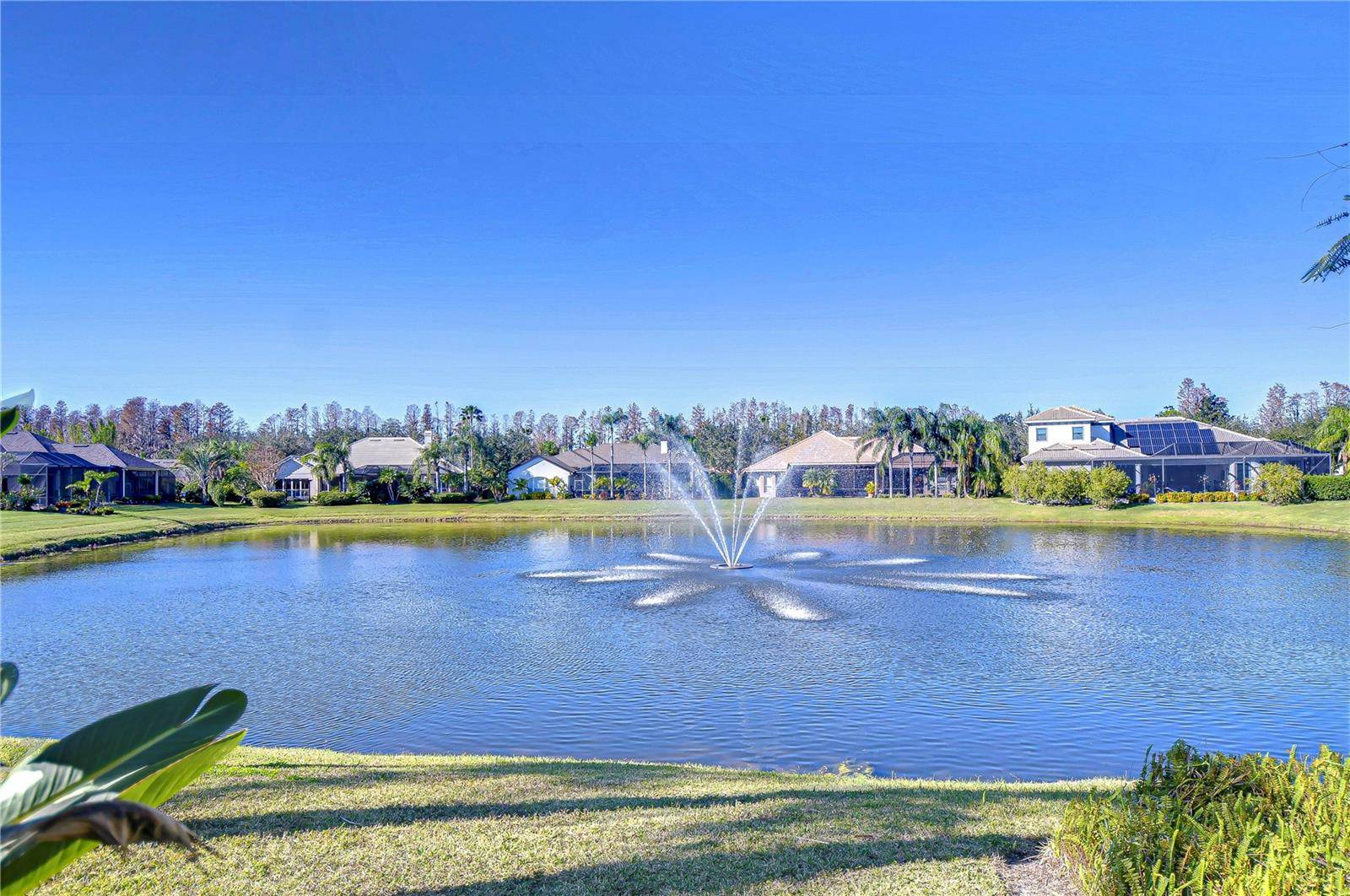 Land O Lakes, FL 34638,20953 BROADWATER DR