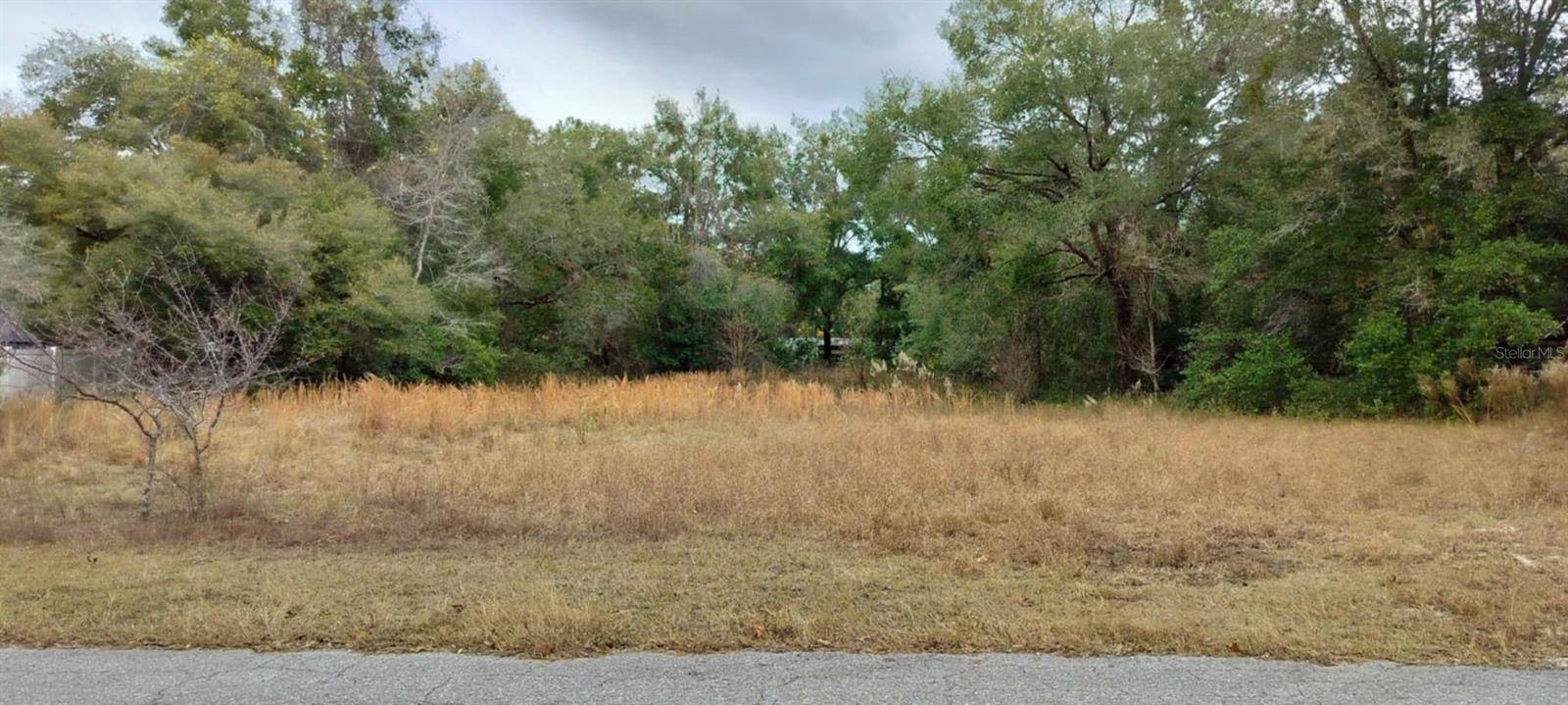 Inverness, FL 34452,5595 E ARTHUR ST