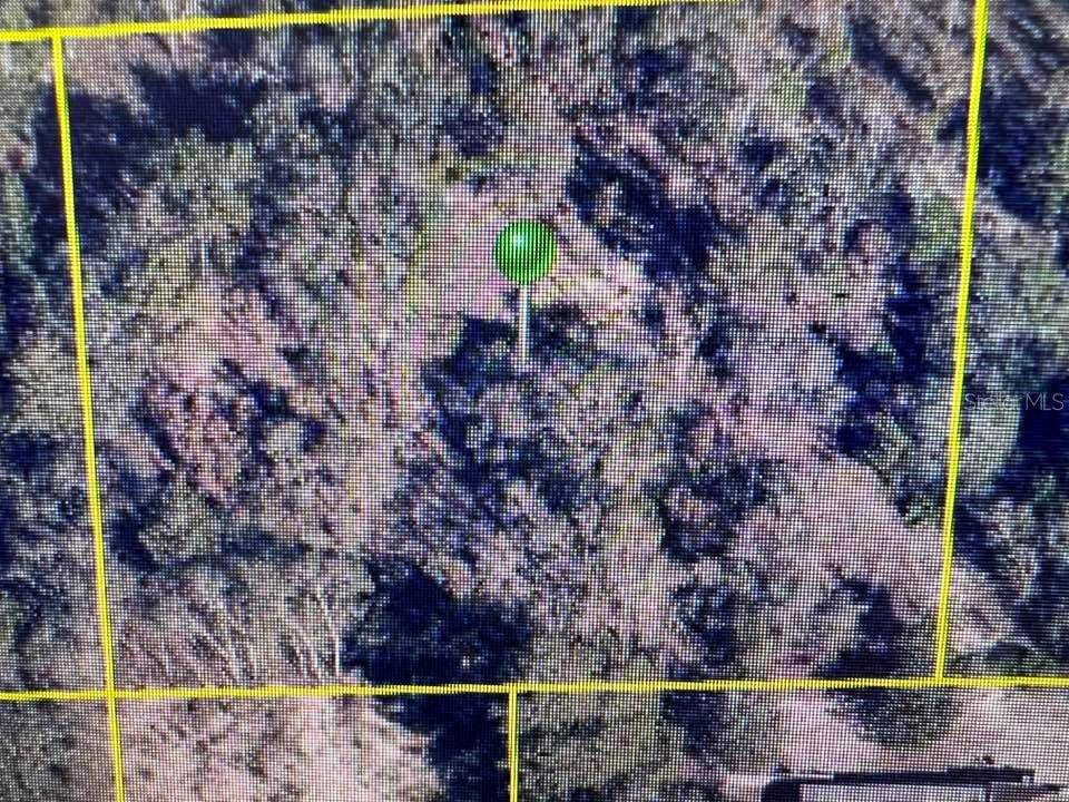 Brooksville, FL 34614,13210 SPRUCE GROUSE AVE