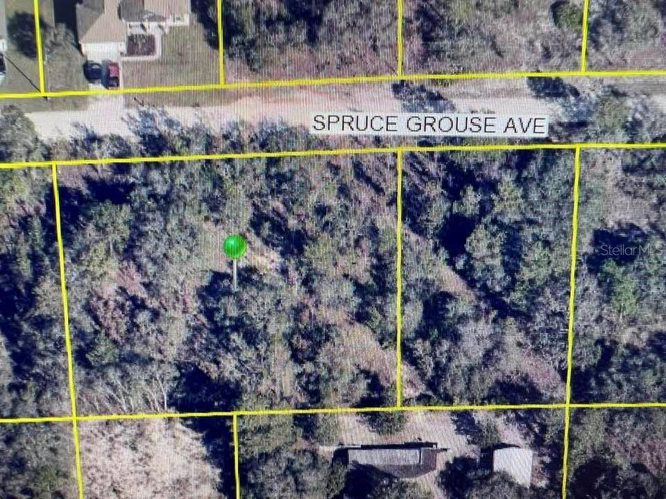 Brooksville, FL 34614,13210 SPRUCE GROUSE AVE