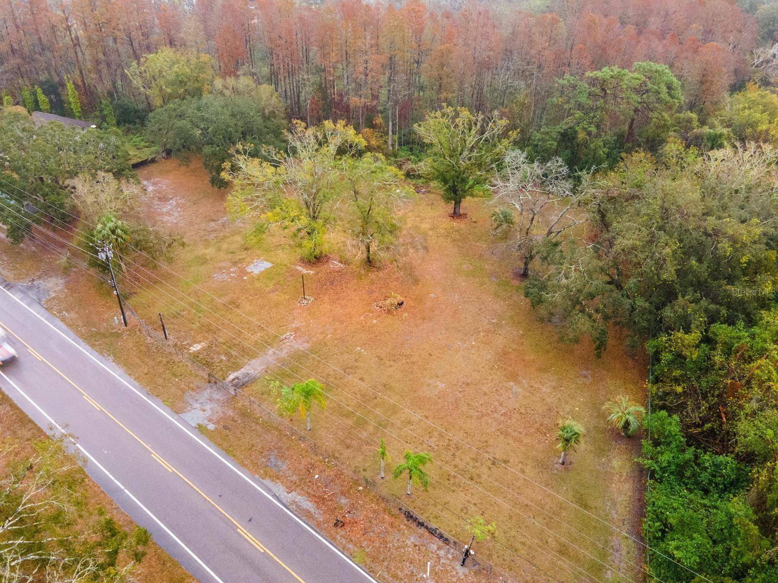 Odessa, FL 33556,17311 GUNN HWY