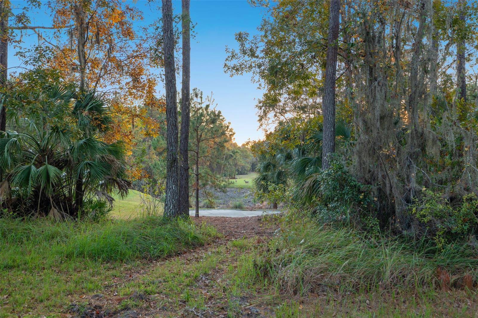 Brooksville, FL 34601,5627 CREEK RIDGE RD