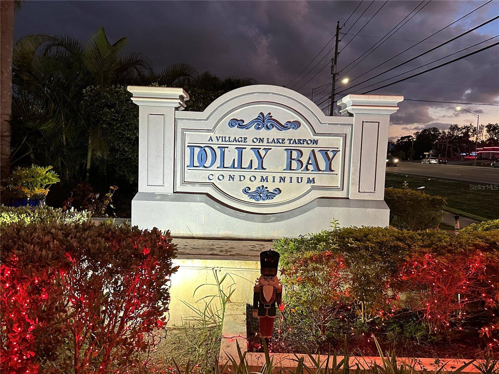 Palm Harbor, FL 34684,2533 DOLLY BAY DR #101