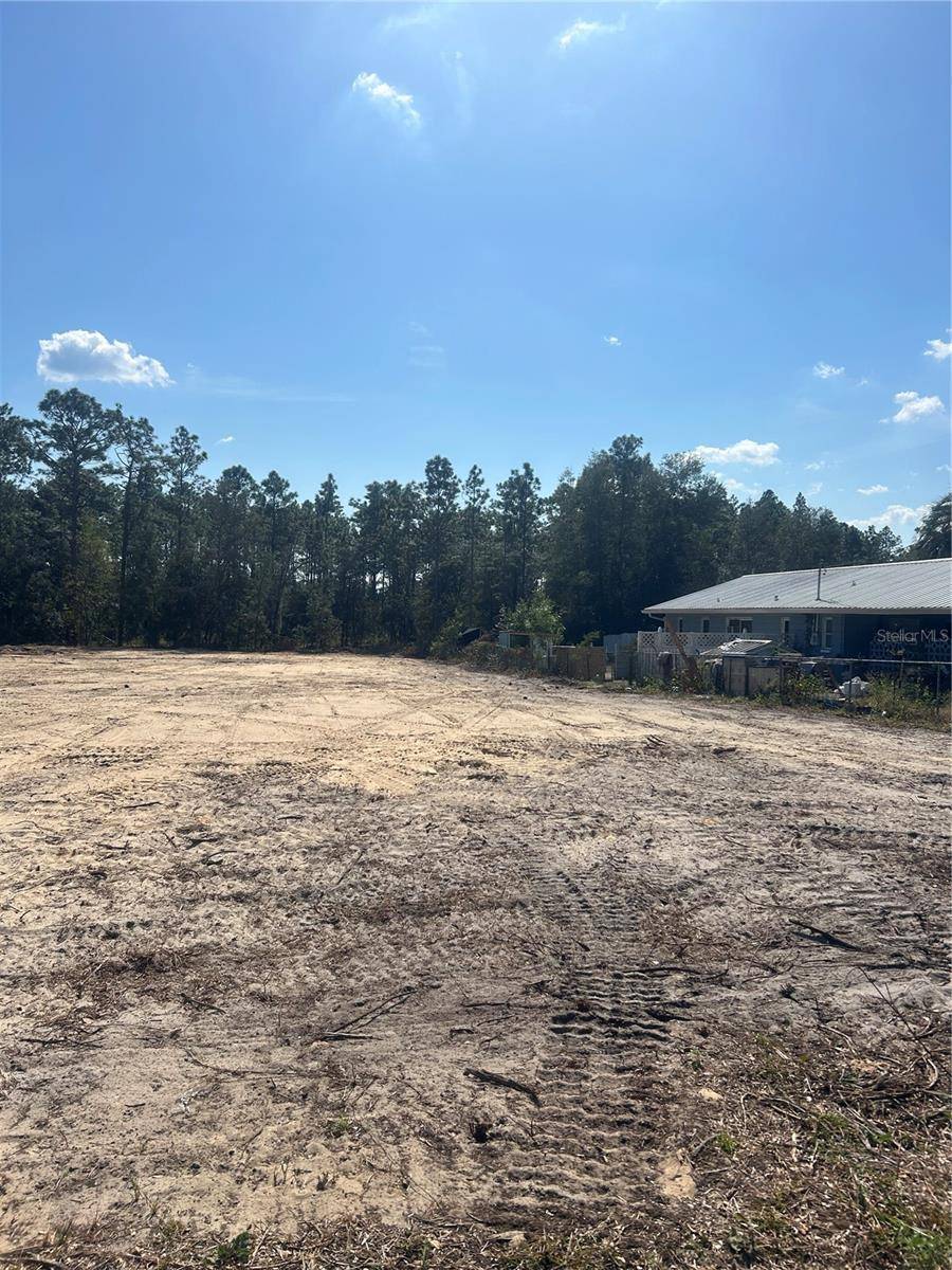 Dunnellon, FL 34432,TBD NW MALLARD AVE