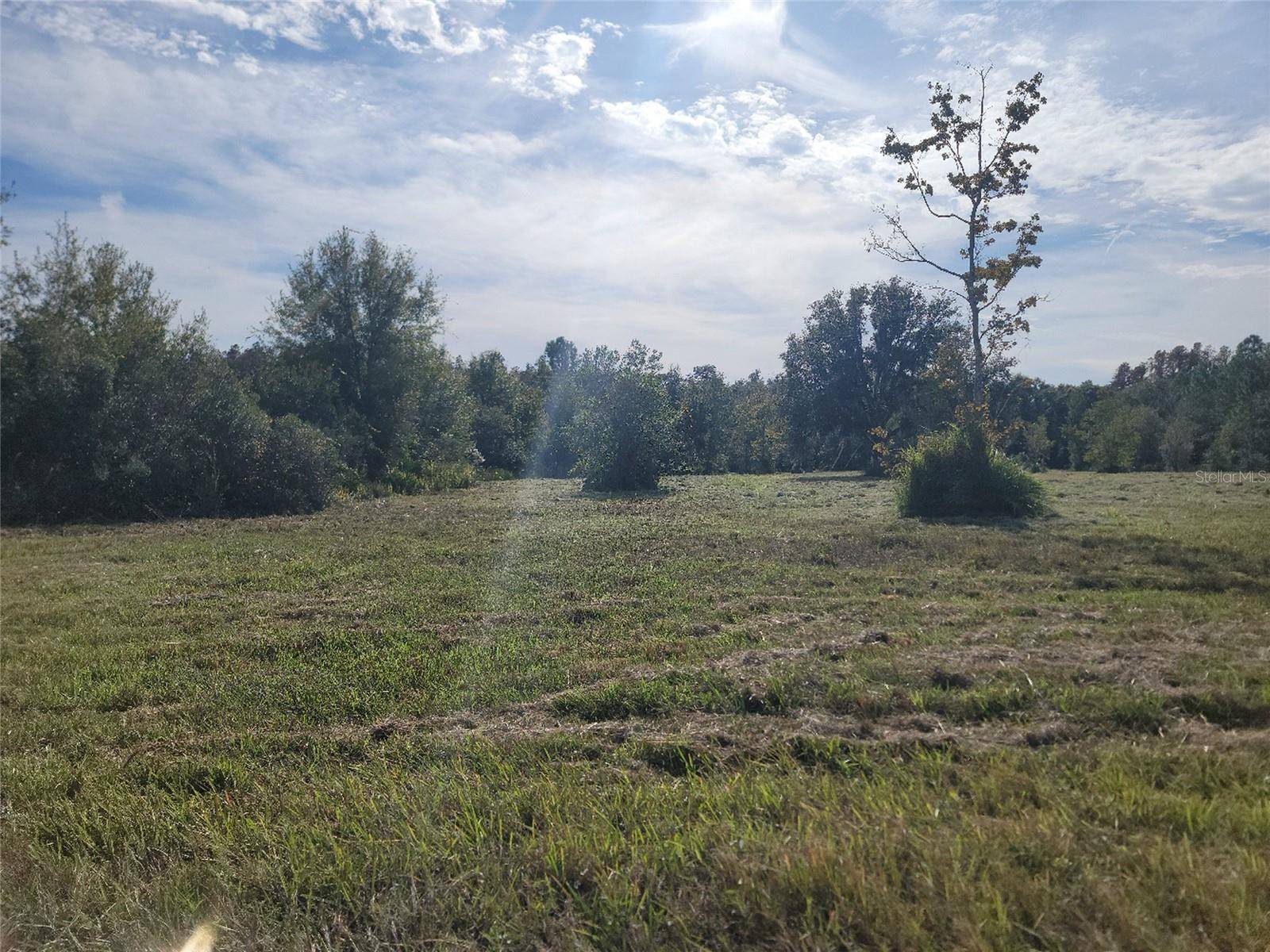 Wesley Chapel, FL 33543,0 MANDRAKE ROAD