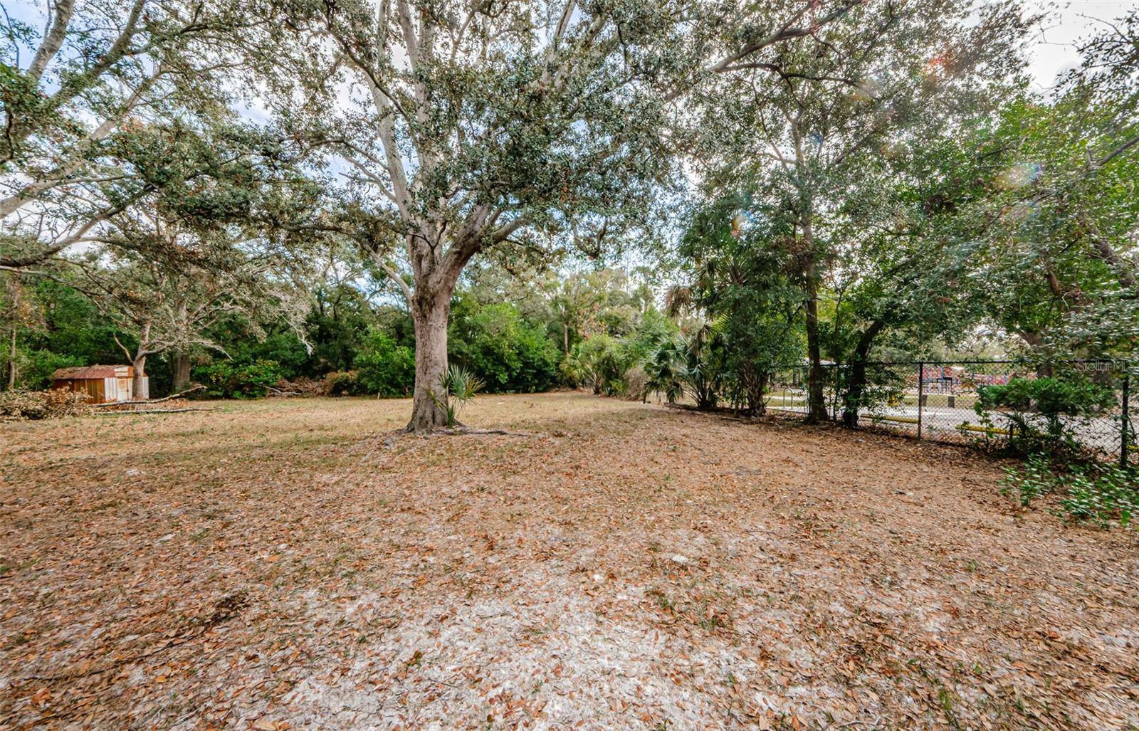 Tampa, FL 33617,TAKOMAH TRL