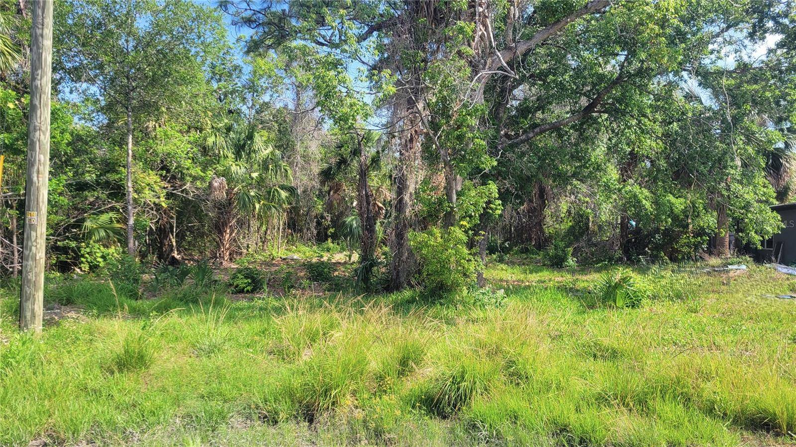 Hudson, FL 34667,NEEDLES DR