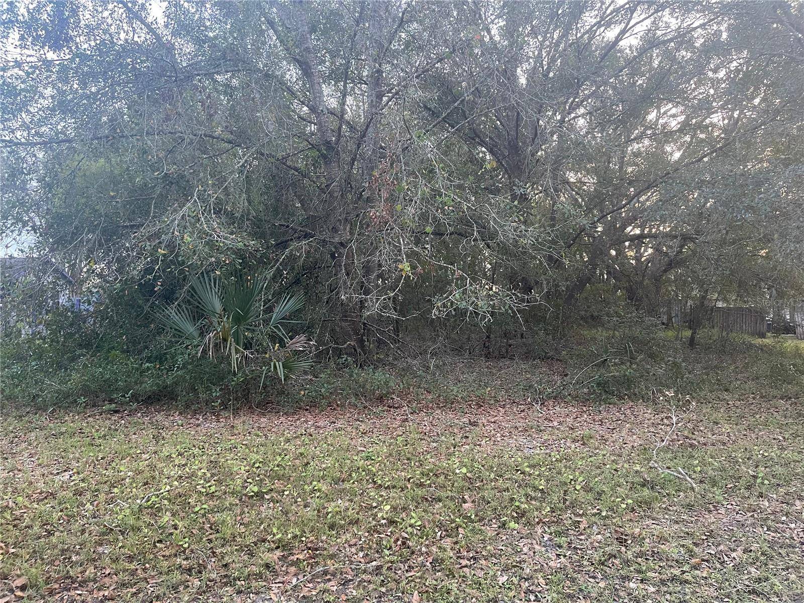 Wesley Chapel, FL 33544,26346 FOAMFLOWER BLVD