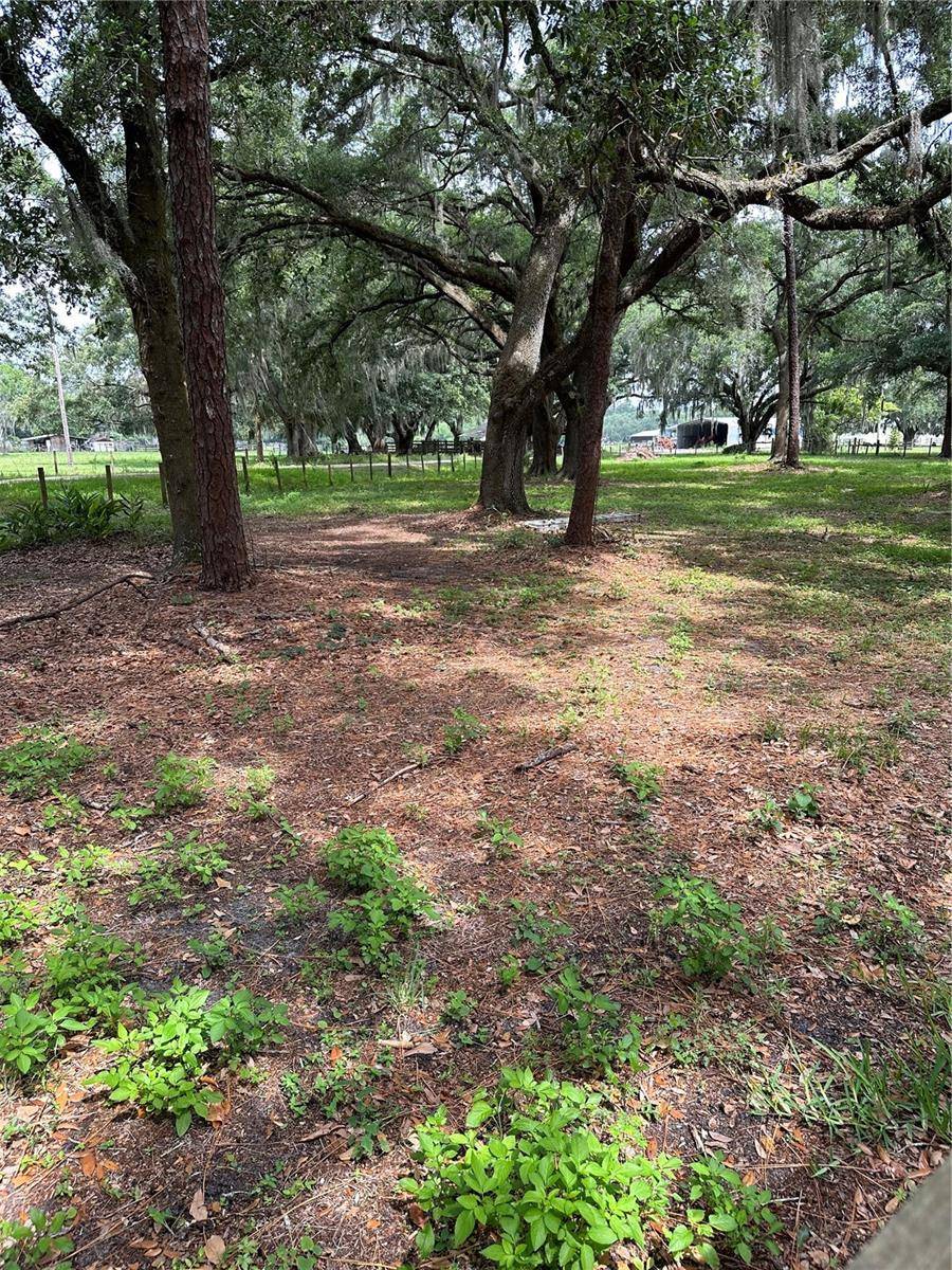 Plant City, FL 33565,LANIER RD
