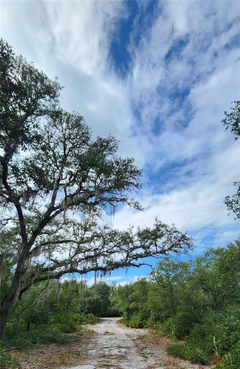 Fort Mc Coy, FL 32134,LOT 6