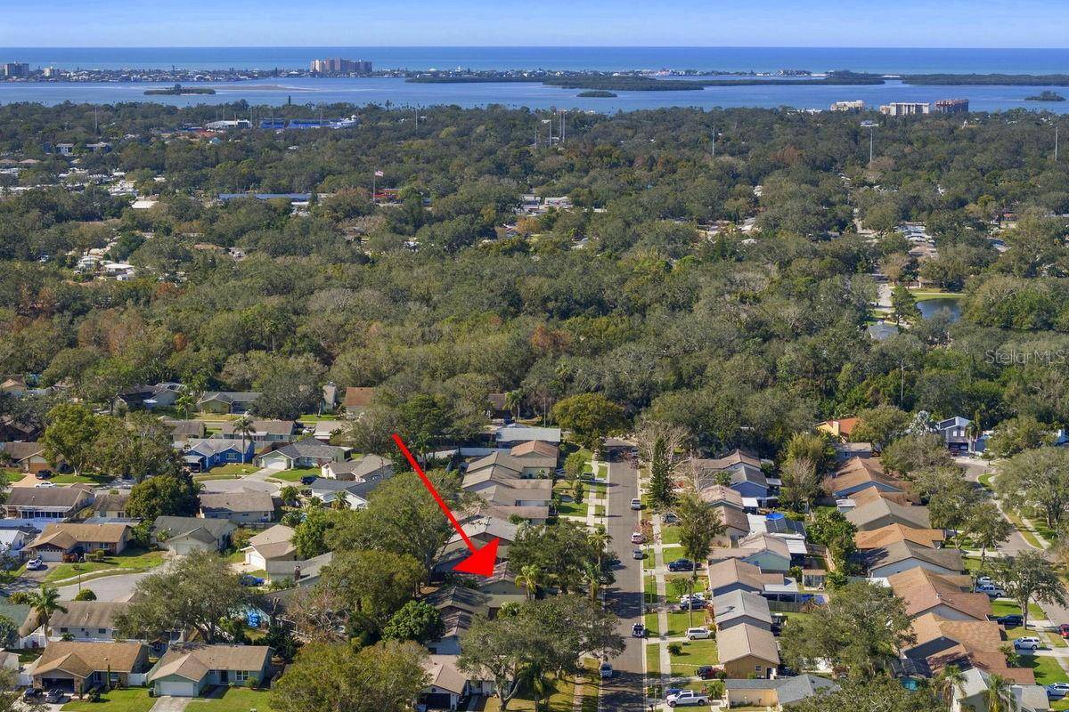 Dunedin, FL 34698,665 KIRKLAND CIR