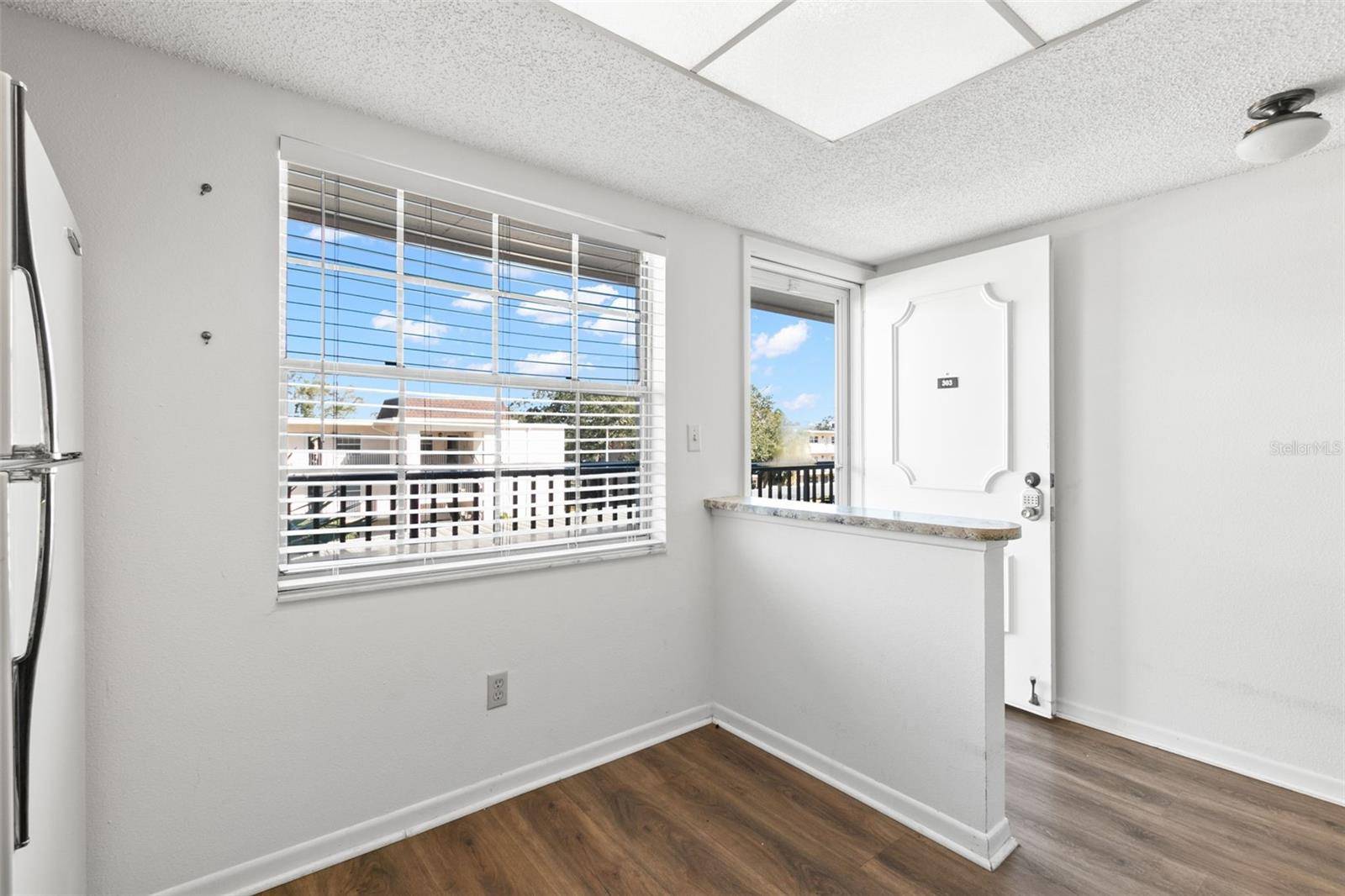 Dunedin, FL 34698,831 MAPLE CT #303