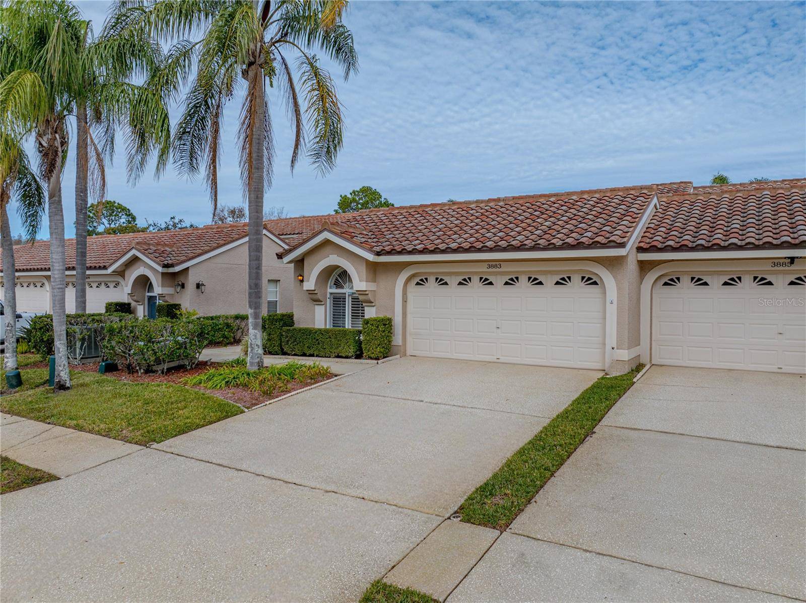 Palm Harbor, FL 34685,3883 DARSTON ST