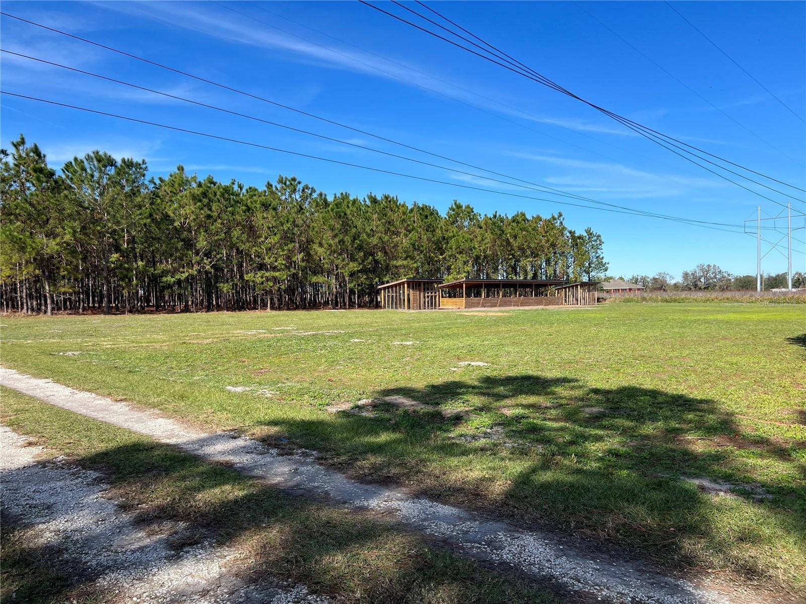 Lithia, FL 33547,17609 BLEDSOE LOOP