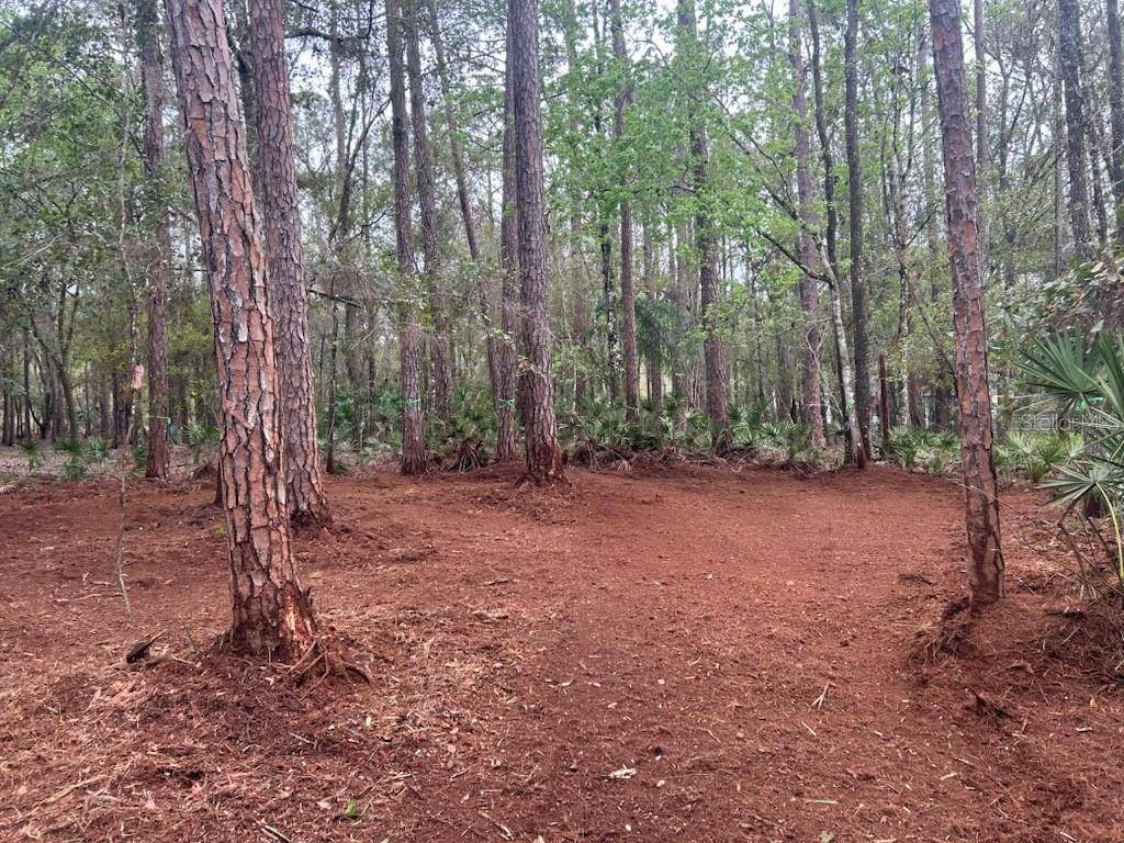 Zephyrhills, FL 33544,WEST DR
