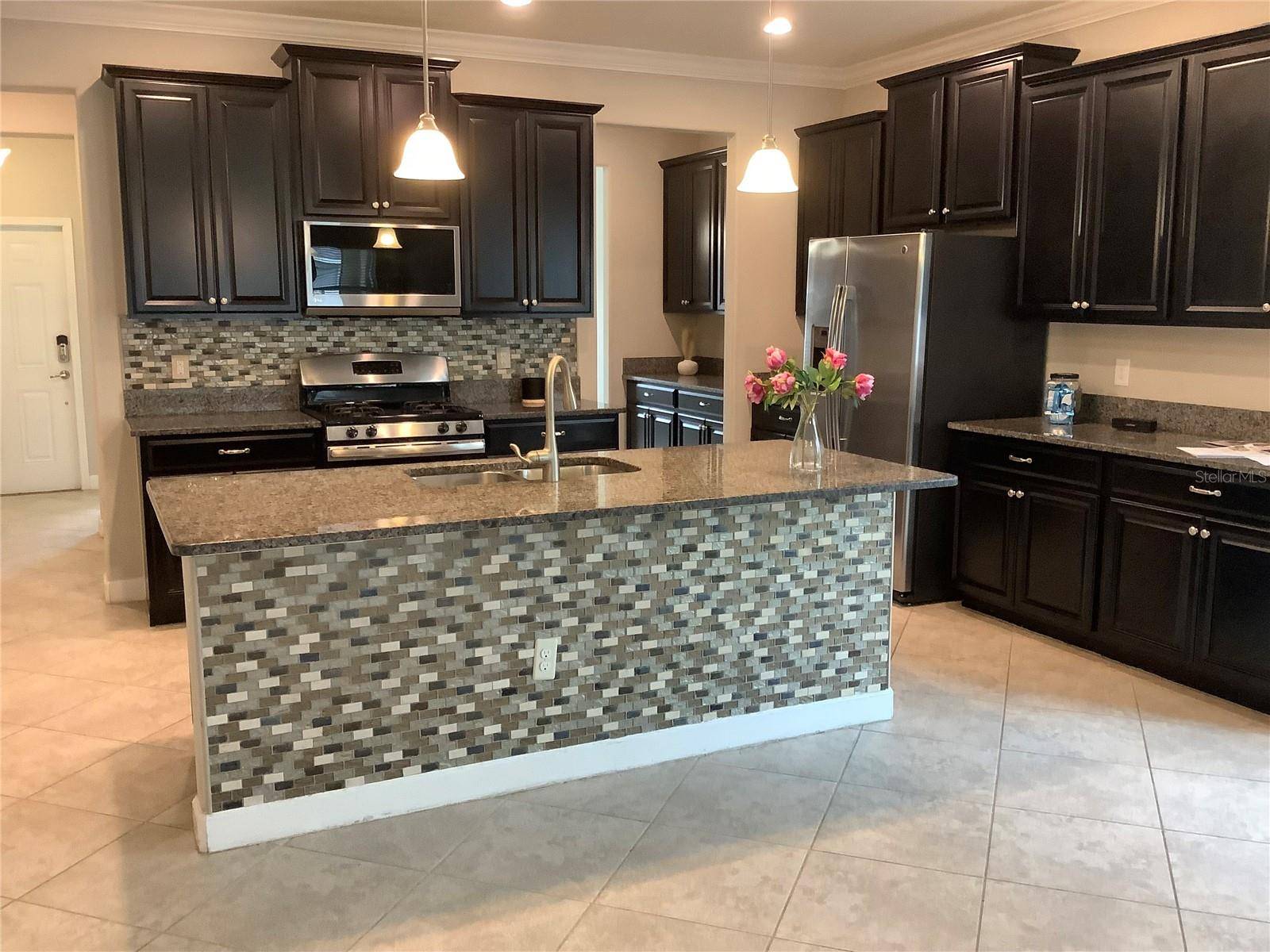 Land O Lakes, FL 34639,2588 BARTOLO DR