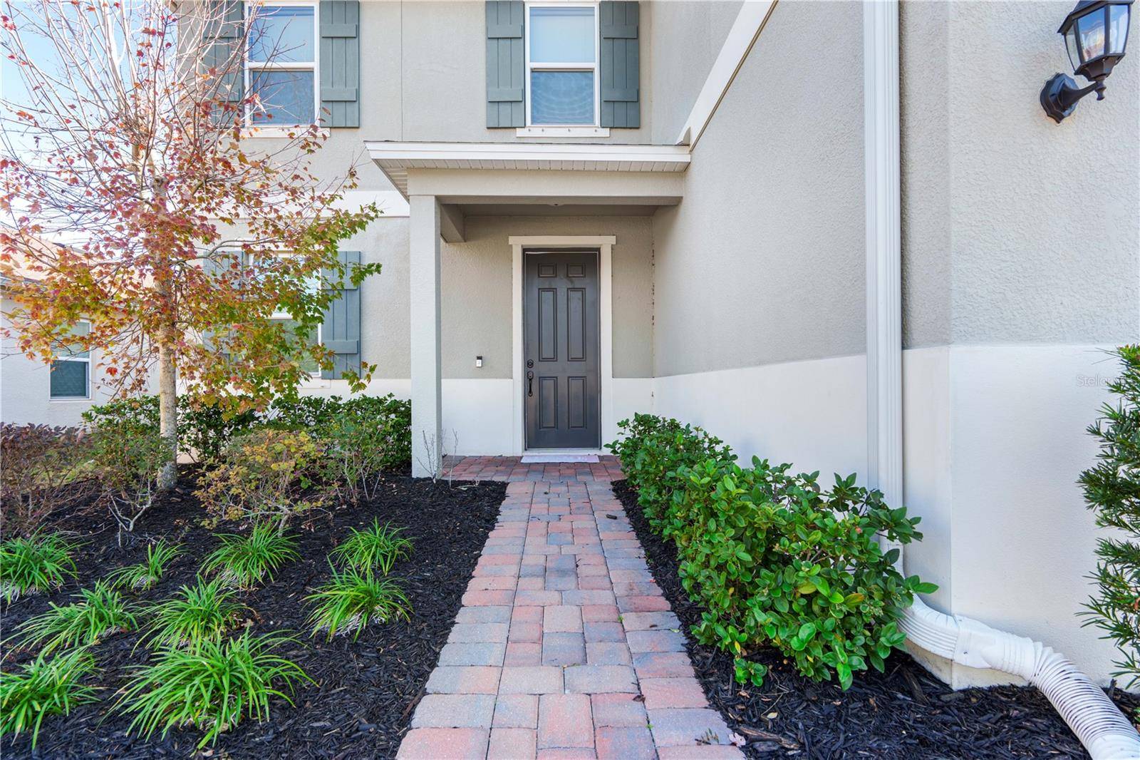 Riverview, FL 33579,11514 BRIGHTON KNOLL LOOP