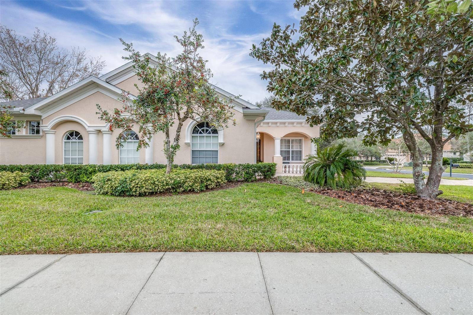 Wesley Chapel, FL 33544,27325 MISTFLOWER DR