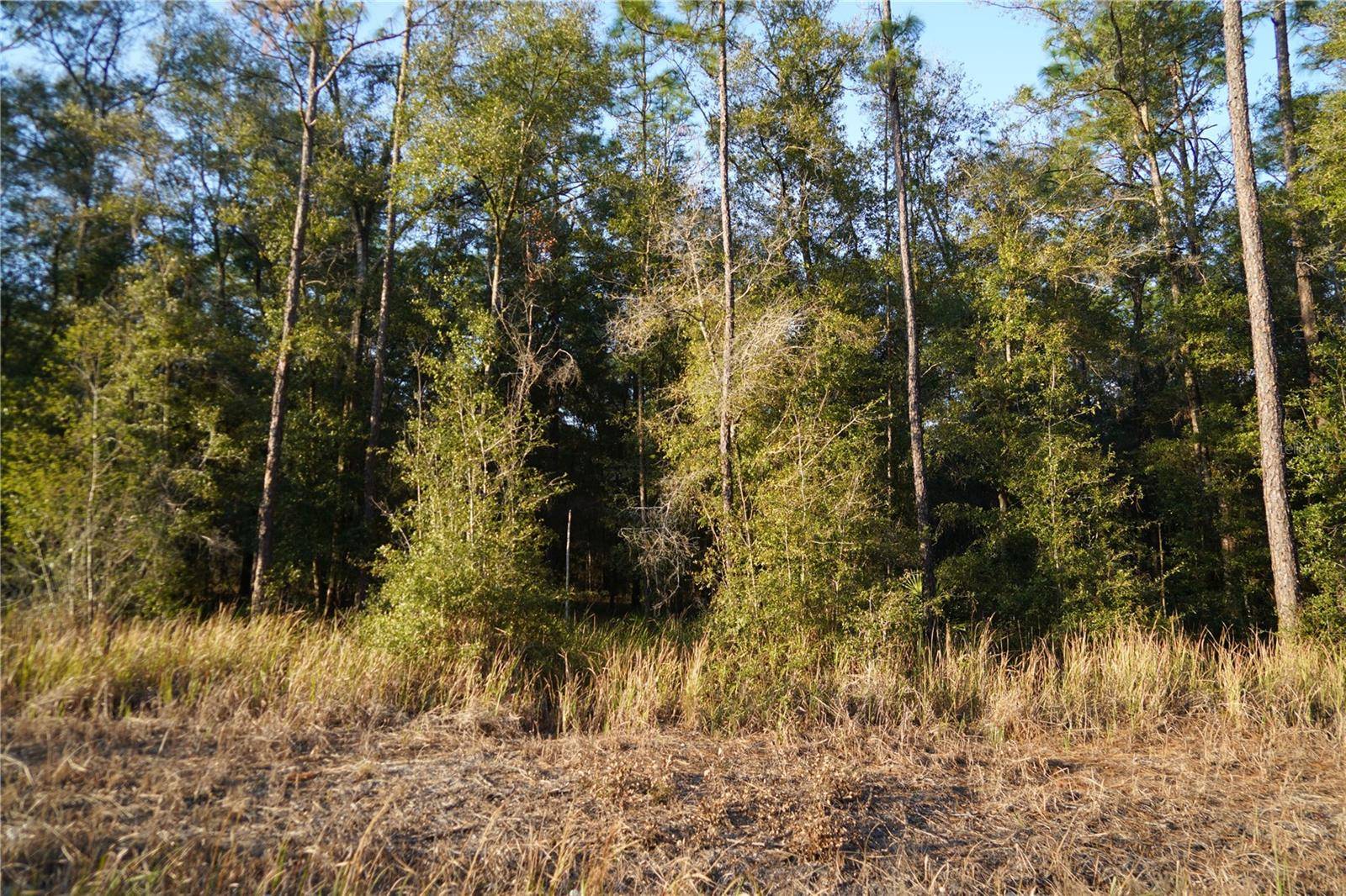 Ocala, FL 34481,SW 38TH PL #38