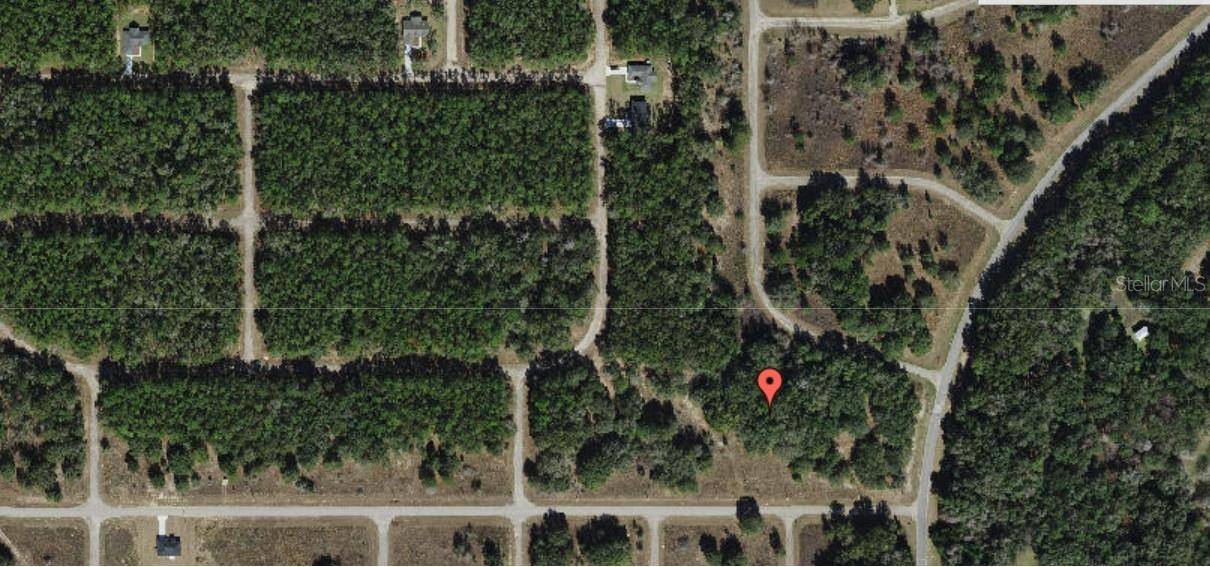 Dunnellon, FL 34434,8276 N ELIDA AVE