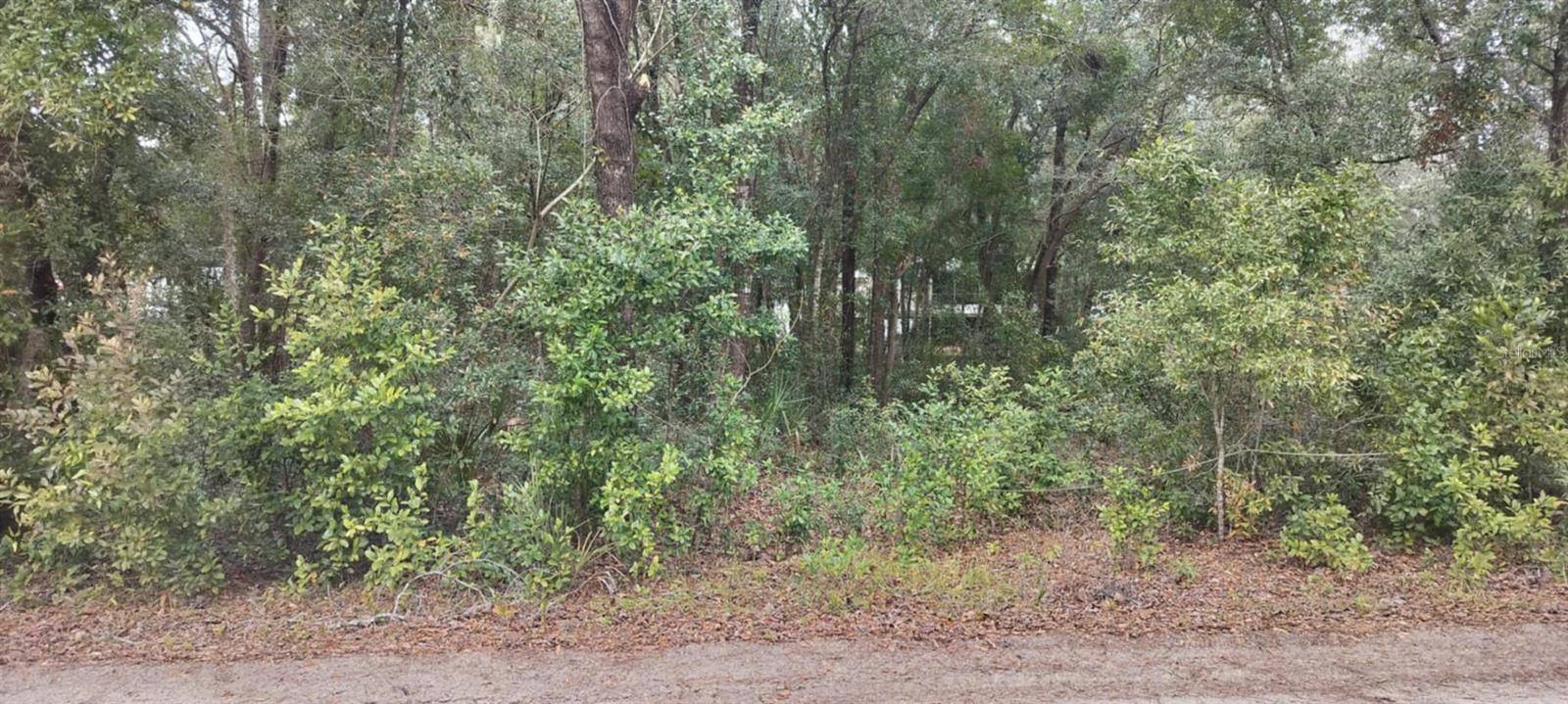 Hernando, FL 34442,1221 E RHAPSODY LN