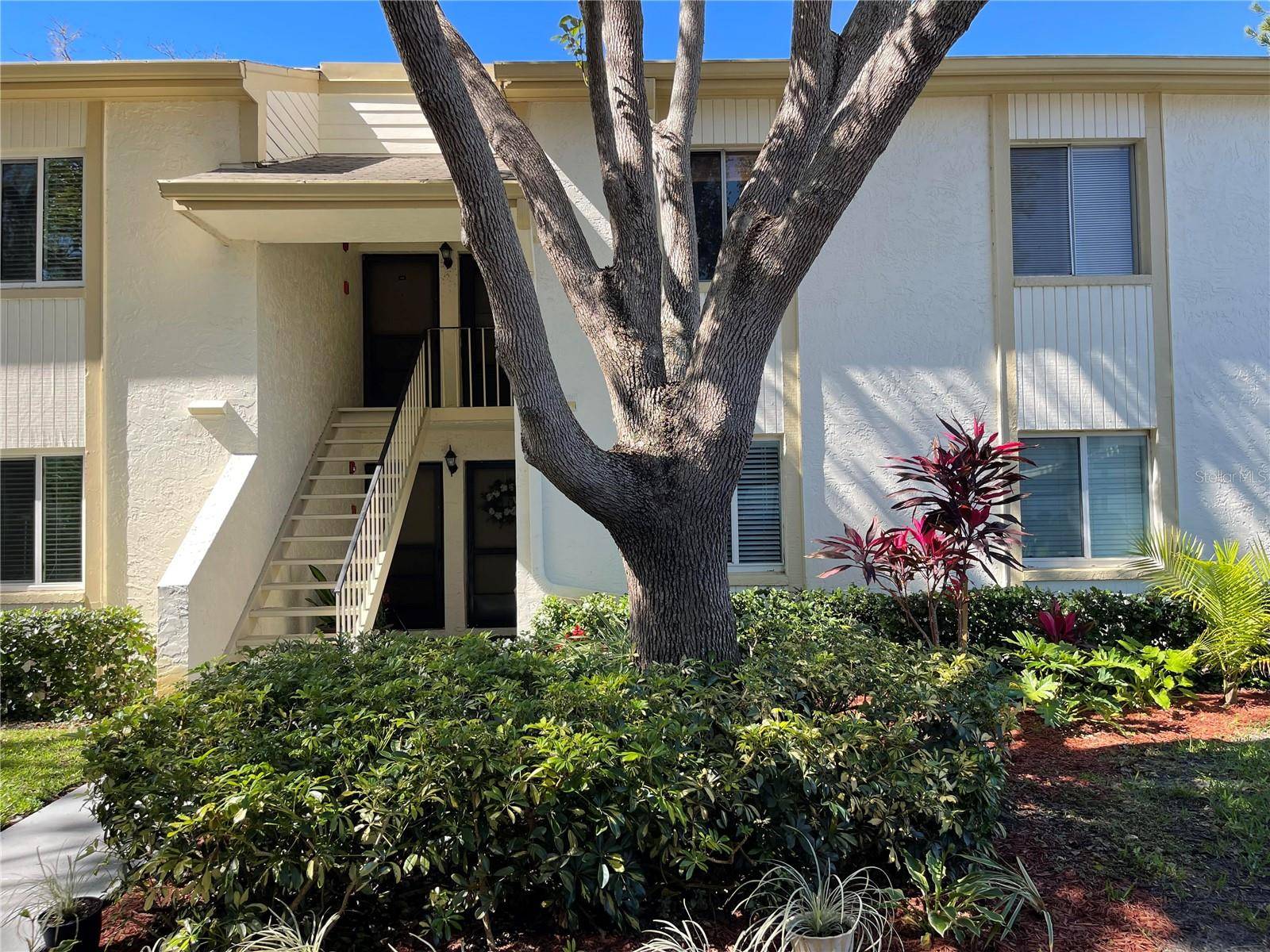 Oldsmar, FL 34677,138 CYPRESS CT #138