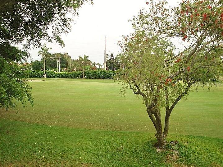 St Petersburg, FL 33715,5724 LA PUERTA DEL SOL BLVD S #247
