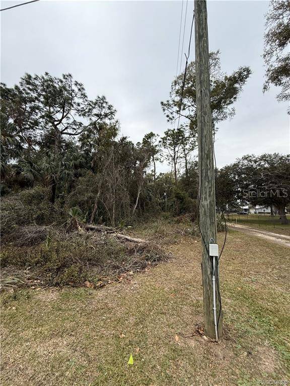 Crystal River, FL 34428,9942 W HAWTHORNE ST W