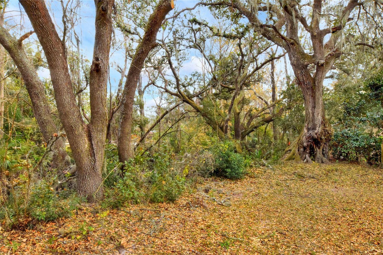 Thonotosassa, FL 33592,11735 KNIGHTS GRIFFIN RD
