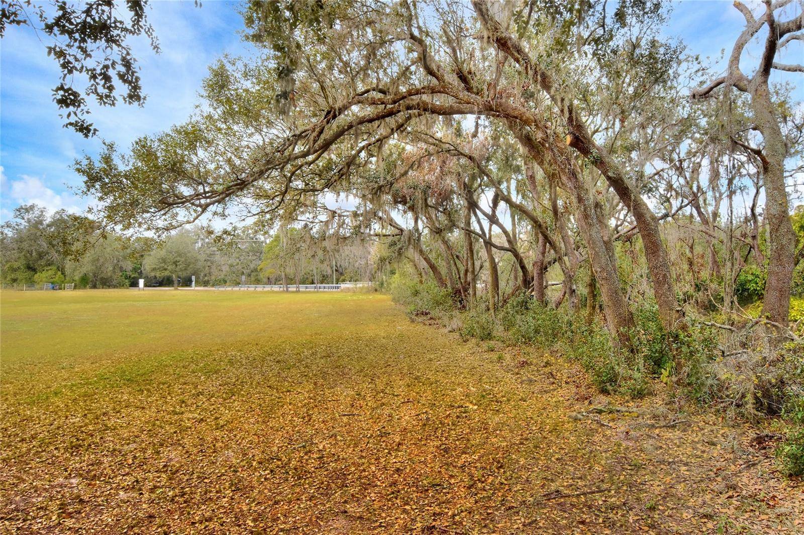 Thonotosassa, FL 33592,11735 KNIGHTS GRIFFIN RD