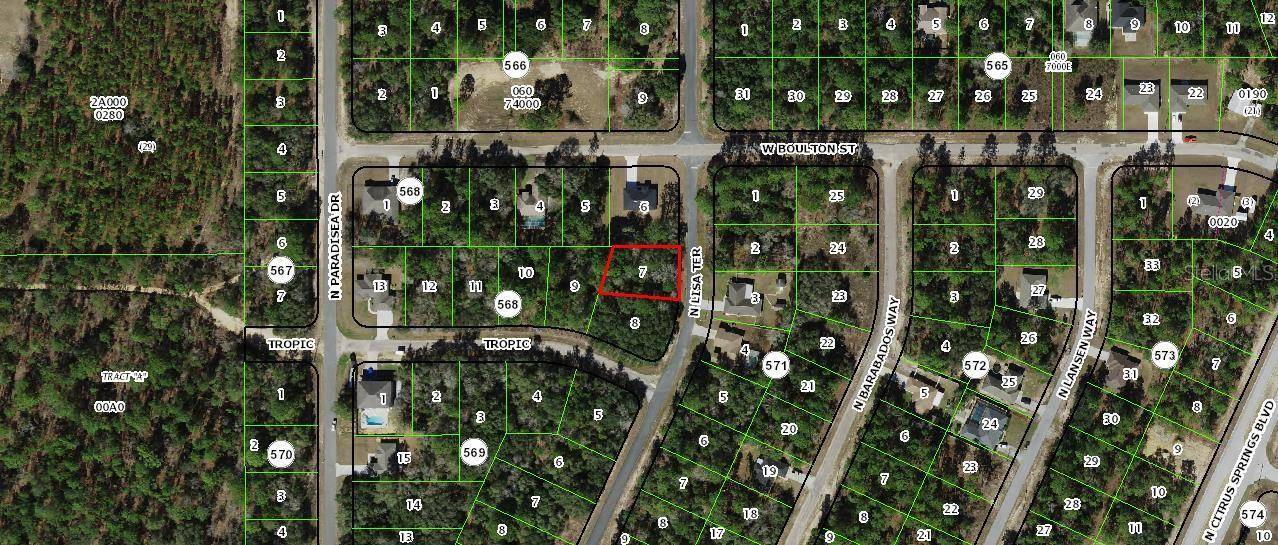 Citrus Springs, FL 34433,8992 N LISA TER