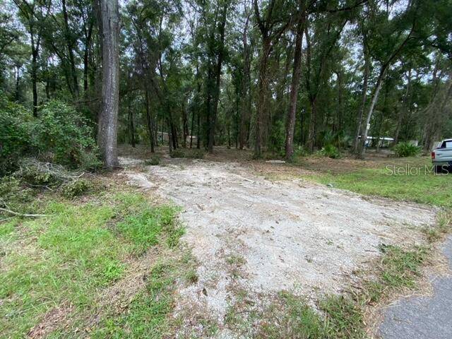 Fanning Springs, FL 32693,tbd NW 80TH ST