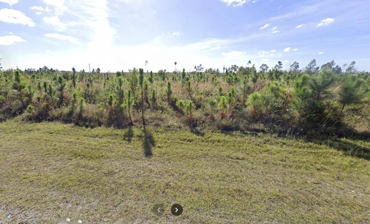 Indian Lake Estates, FL 33855,205 ALBA DR